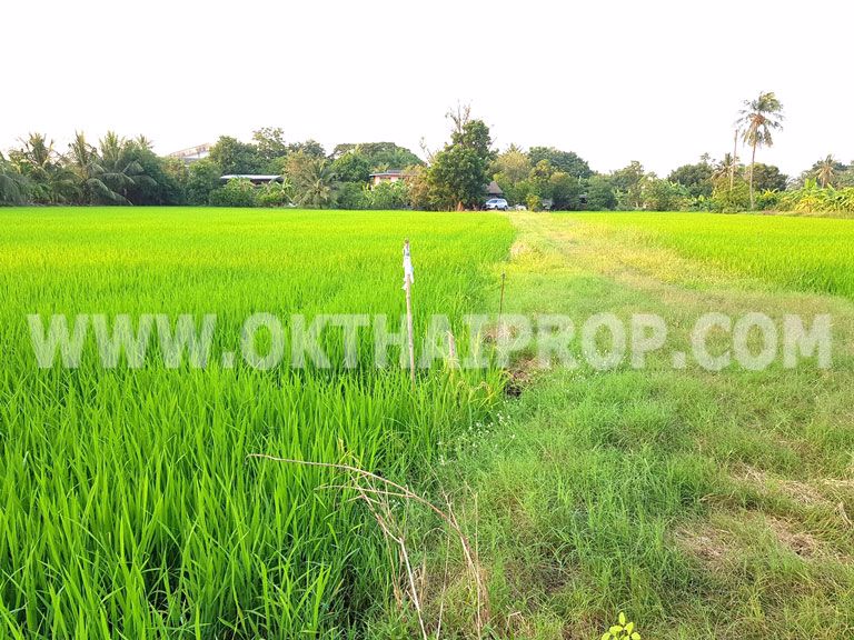 3359-ที่ดิน-ถ346-ปทุม-บางเลน-ไทรน้อย