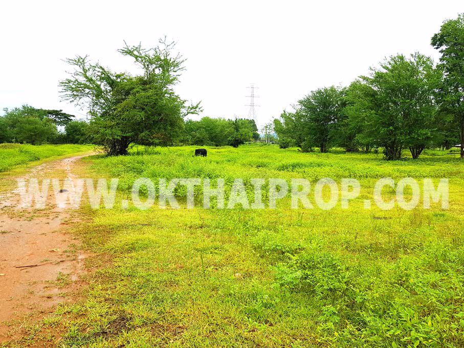 3294-ที่ดิน-พุหวาย-ทางหลวงชนบทหมายเลข101-ถพุหวาย-อชะอำ-จเพชรบุรี