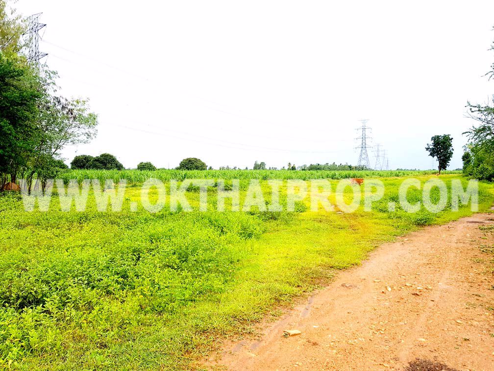 3294-ที่ดิน-พุหวาย-ทางหลวงชนบทหมายเลข101-ถพุหวาย-อชะอำ-จเพชรบุรี