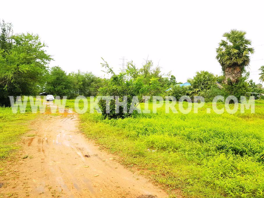 3294-ที่ดิน-พุหวาย-ทางหลวงชนบทหมายเลข101-ถพุหวาย-อชะอำ-จเพชรบุรี