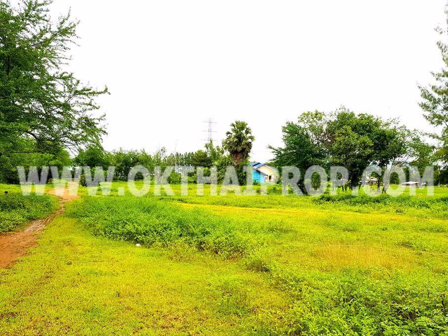 3294-ที่ดิน-พุหวาย-ทางหลวงชนบทหมายเลข101-ถพุหวาย-อชะอำ-จเพชรบุรี