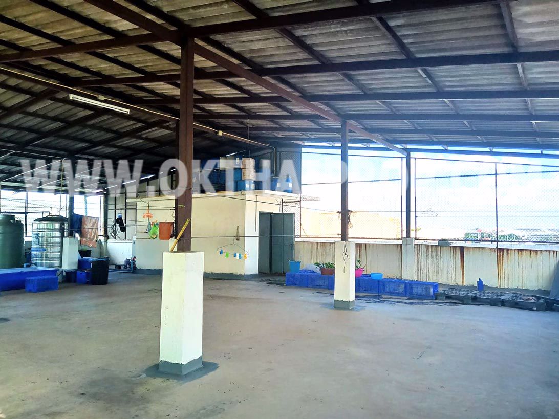 3280-อาคารพาณิชย์-3-คูหา-ถกาญจนาภิเษก-บางขุนเทียน-กทม