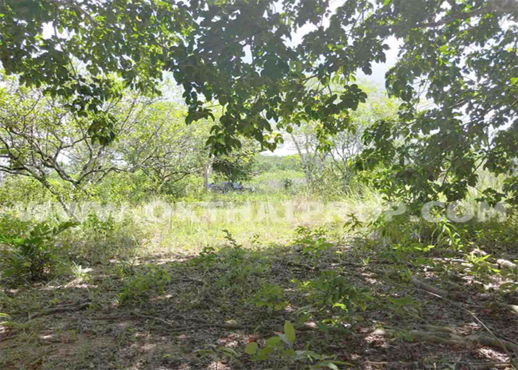 3039-ที่ดิน-ในโครงการแรบบิซ-ฮิลล์-รีสอร์ท-rabbiz-hill-resort-