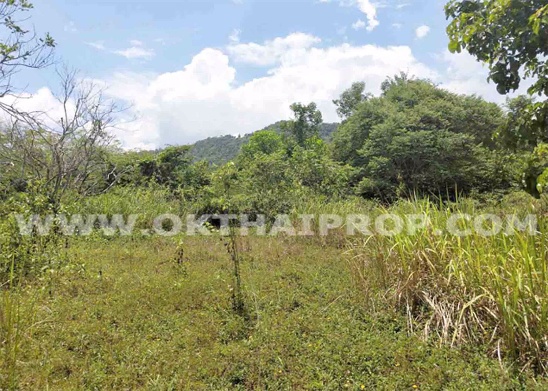 3039-ที่ดิน-ในโครงการแรบบิซ-ฮิลล์-รีสอร์ท-rabbiz-hill-resort-