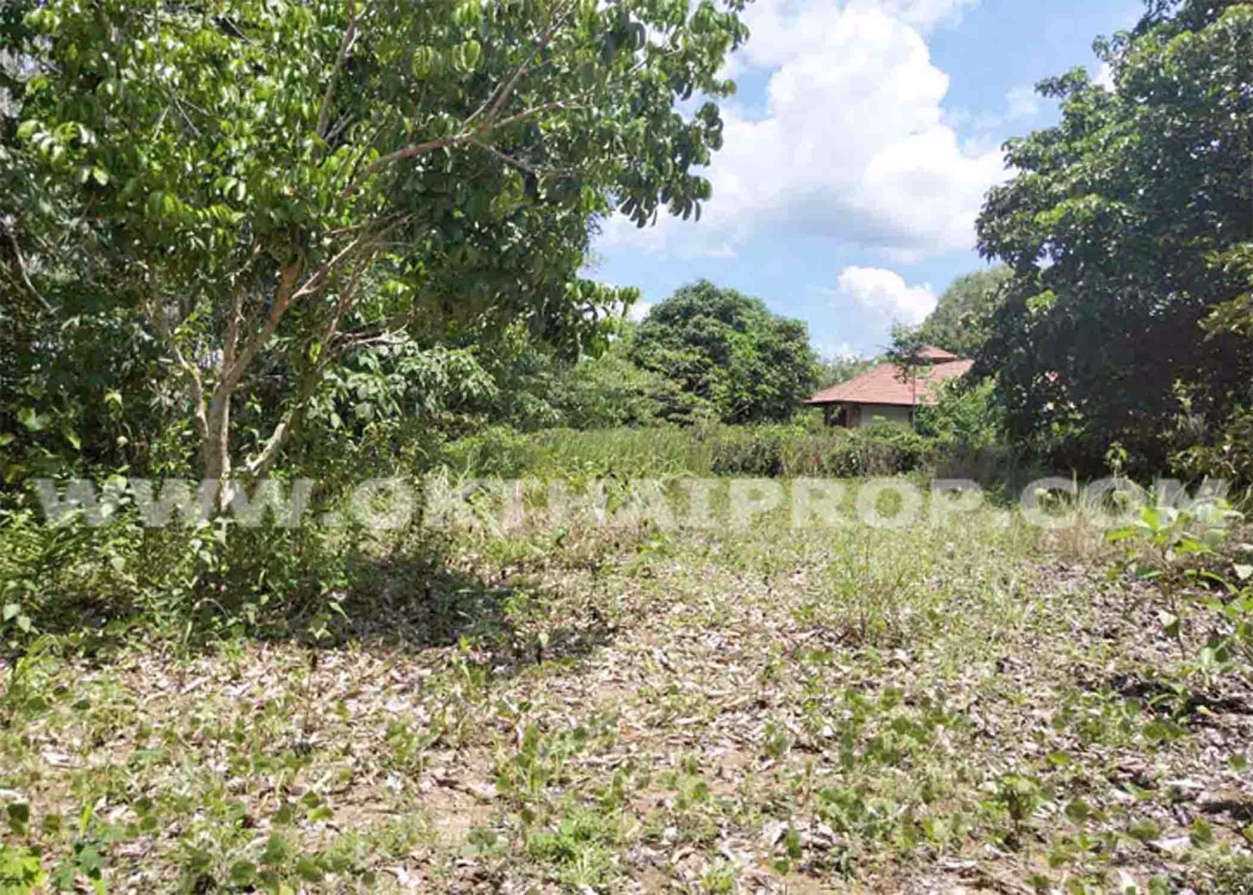 3039-ที่ดิน-ในโครงการแรบบิซ-ฮิลล์-รีสอร์ท-rabbiz-hill-resort-