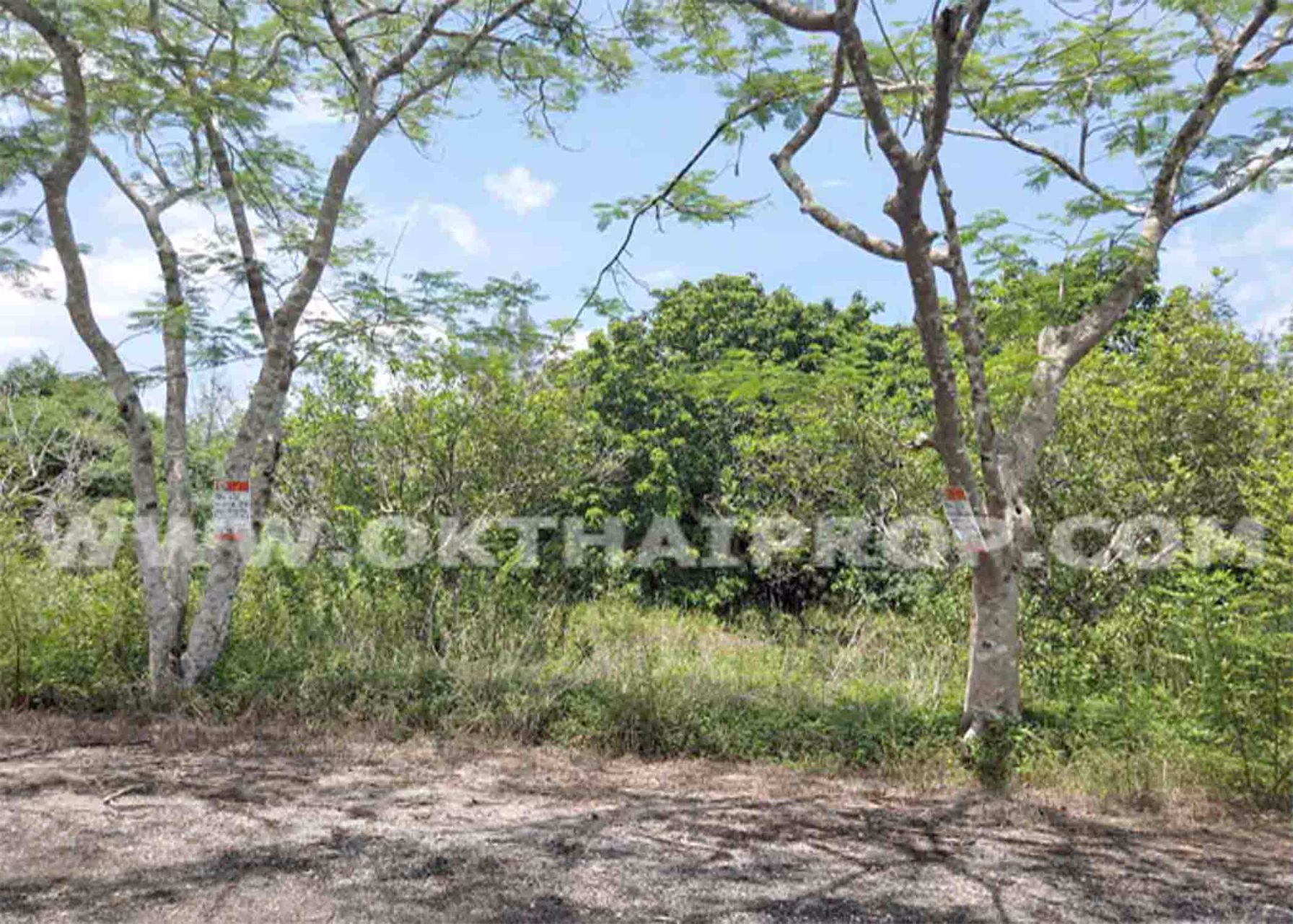 3039-ที่ดิน-ในโครงการแรบบิซ-ฮิลล์-รีสอร์ท-rabbiz-hill-resort-