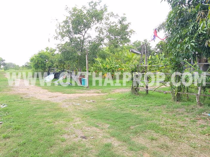 3327-ที่ดิน-หนองเสือ-ถเลียบคลอง7-ปทุมธานี