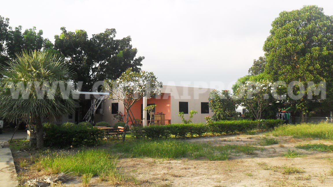 3205-บ้านเดี่ยว-2-หลัง-ตบางเตย-อสามโคก-จปทุมธานี