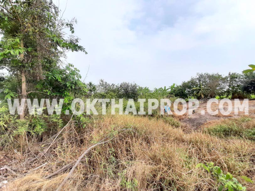 ที่ดิน-บางแก้วฟ้า-นครชัยศรี-นครปฐม