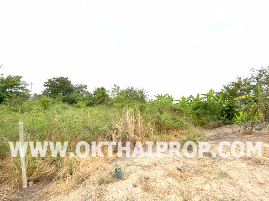 ที่ดิน-บางแก้วฟ้า-นครชัยศรี-นครปฐม