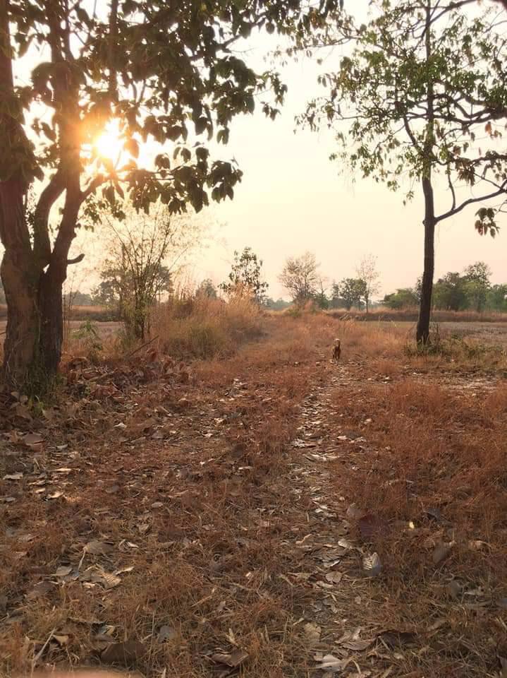 ขายที่ดินวารินชำราบ-ใกล้มอุบล-เดินทางเพียง7นาที