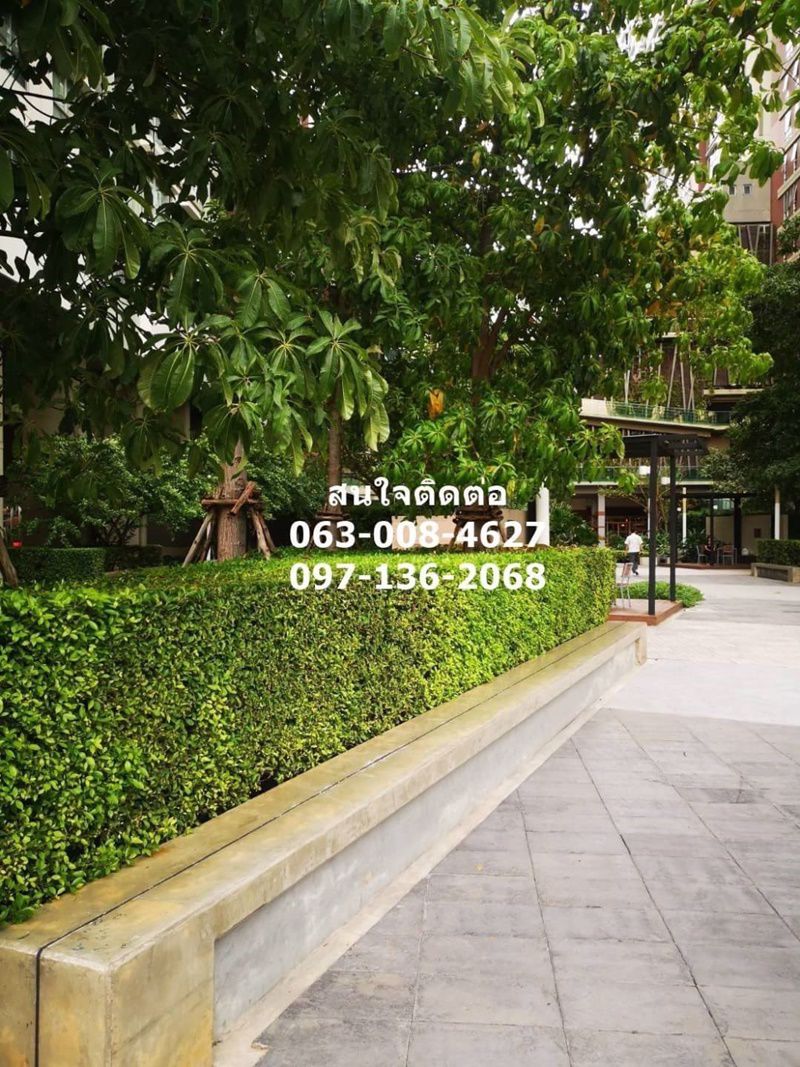 ขาย-lumpini-park-riverside-rama3-ชั้น-9-ตึกb-1-นอน-วิวแม่น้ำ-เฟอร์ครบพร้อมเข้าอยู่