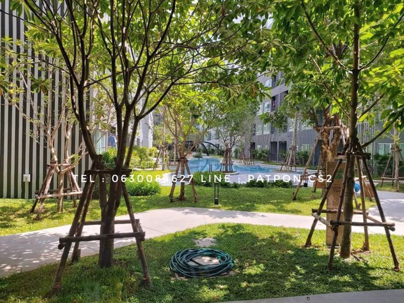 ให้เช่า-elio-del-moss-พหลโยธิน-34-ใกล้-มเกษตร-30-ตรม-1-นอน-วิวสระ