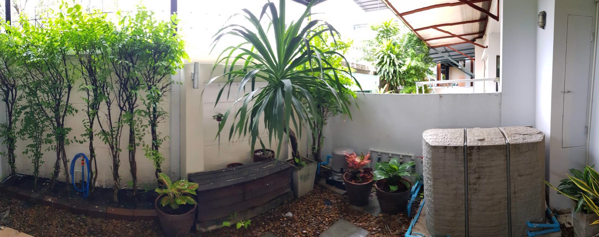 rent-townhouse-the-private-sukhumvit-97-1-yak2-bts-bangchak-บางจาก-เขตพระโขนง-กรุงเทพมหานคร