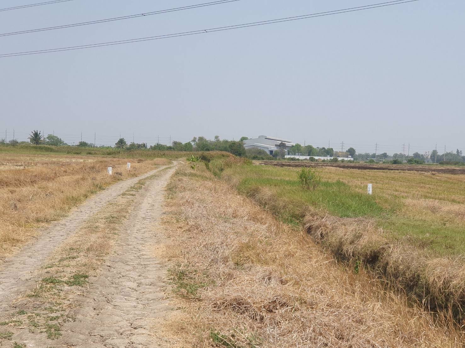 ขายที่ดินเปล่าติดถนนทางหลวง200
