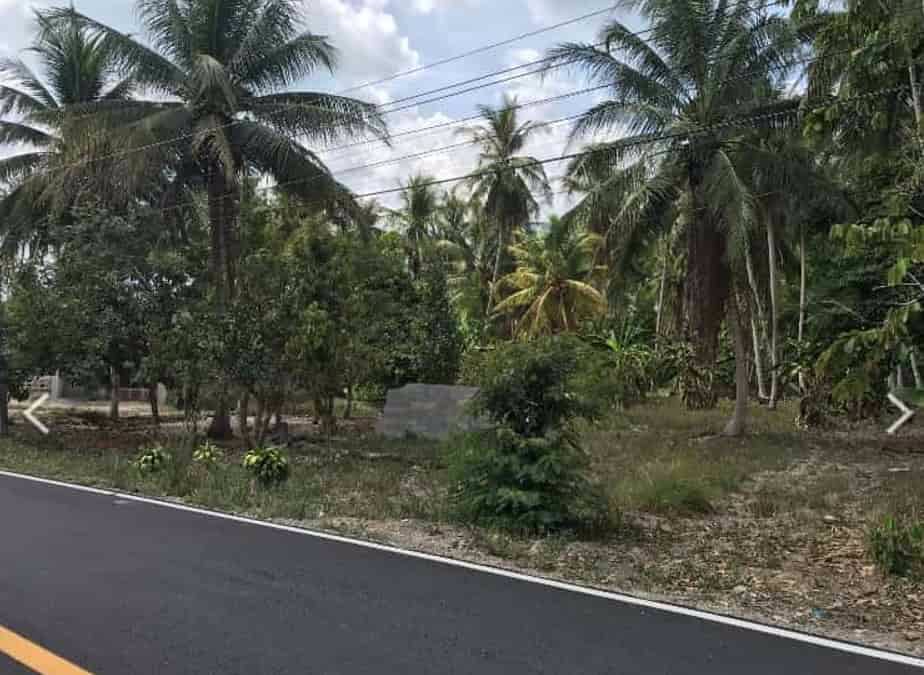 ขายที่ดินขนาด-3-ไร่-3-งาน-15-ตารางวา