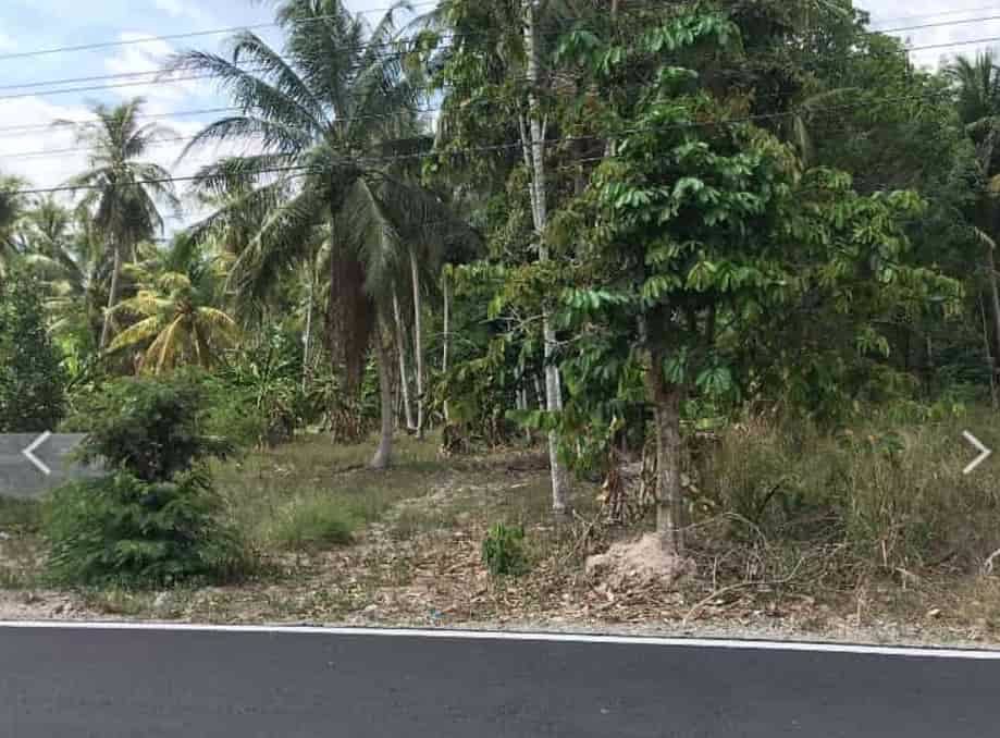 ขายที่ดินขนาด-3-ไร่-3-งาน-15-ตารางวา