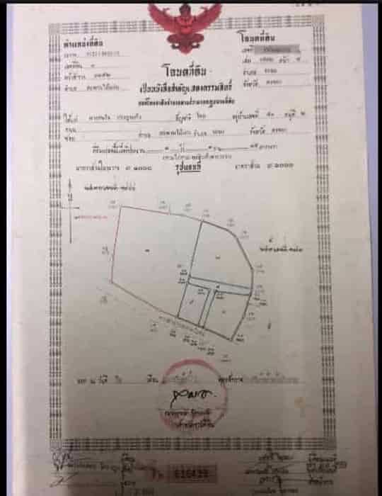 ขายที่ดินขนาด-3-ไร่-3-งาน-15-ตารางวา