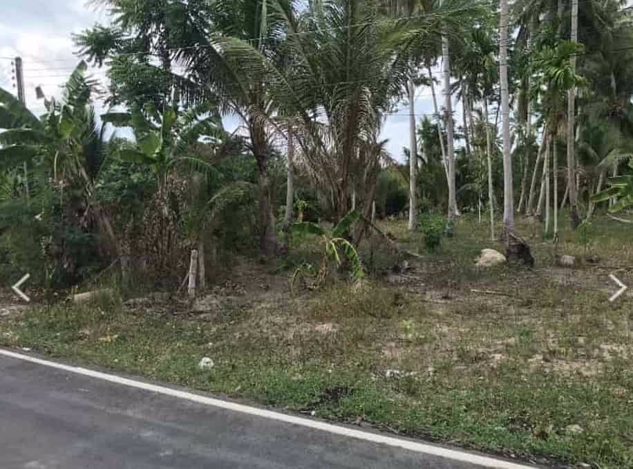 ขายที่ดินขนาด-3-ไร่-3-งาน-15-ตารางวา