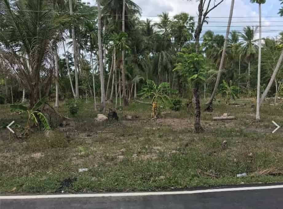 ขายที่ดินขนาด-3-ไร่-3-งาน-15-ตารางวา