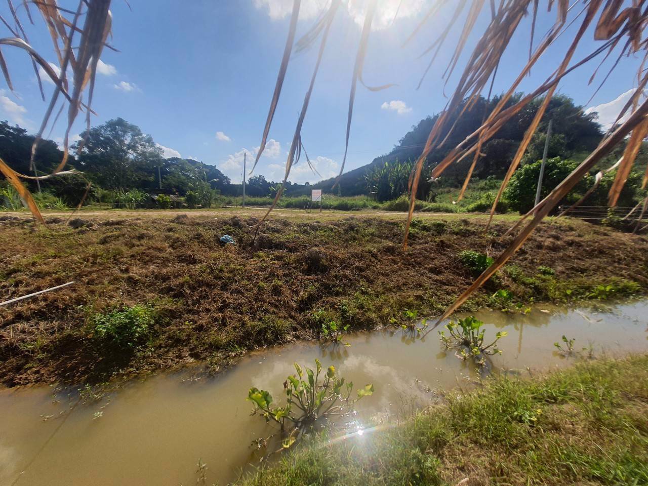 ที่ดินแปลงเล็กราคาถูก-วิวสวย-ใกล้เมือง-ติดน้ำ-มีลำเหมืองเล็กๆไหลผ่าน-วิวภูเขา-น้ำไม่ท่วม