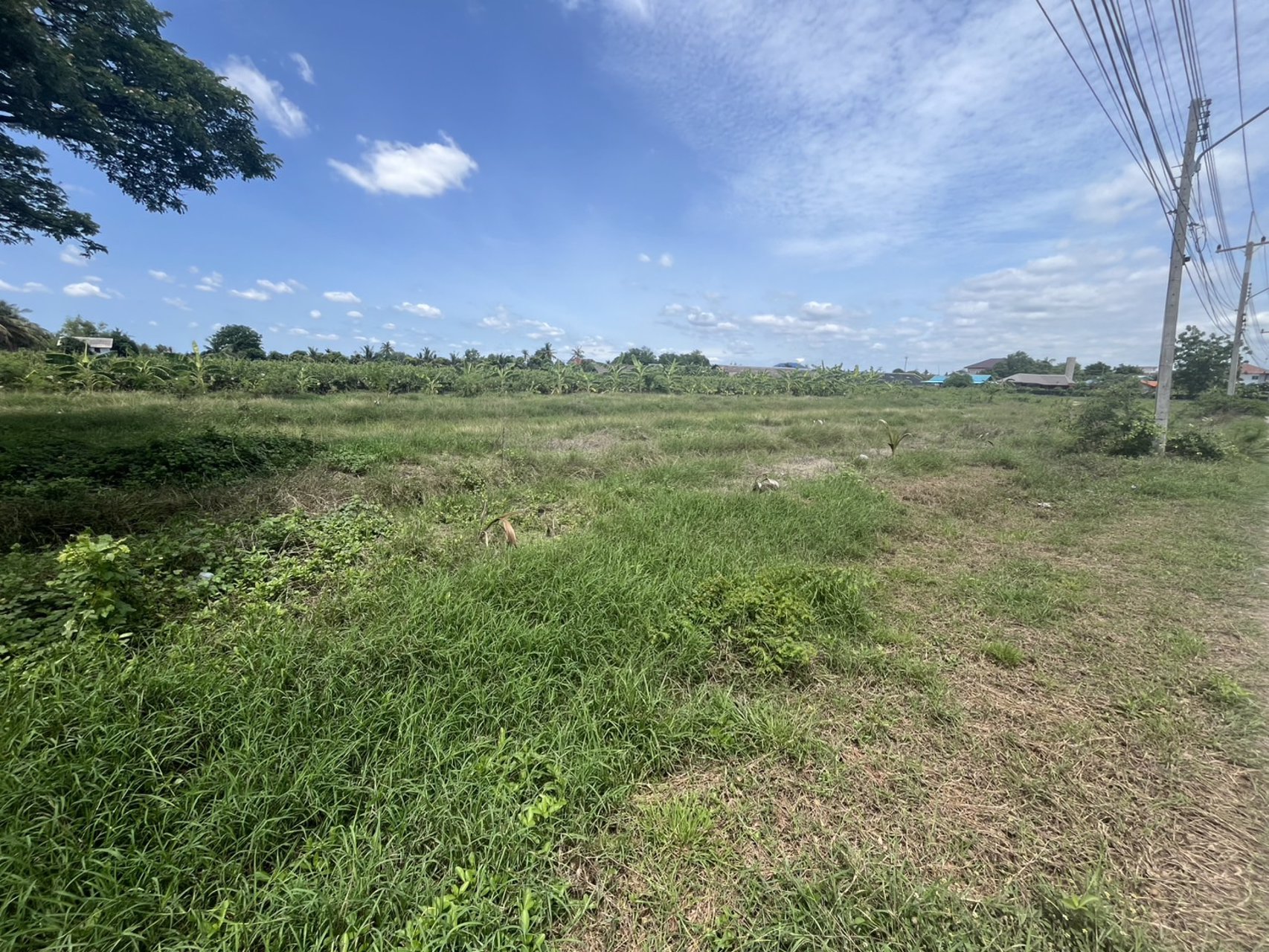 ท่านใดกำลังหาที่ดินสวยๆ-ทำเลดี-น้ำไม่ท่วม-เพื่อปลูกบ้าน-ทำสวน-ทำโกดัง