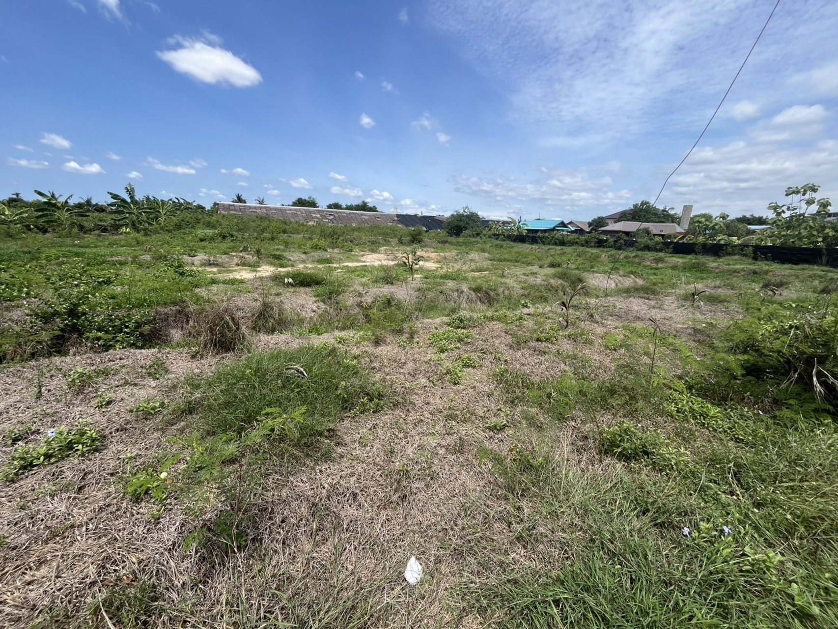 ท่านใดกำลังหาที่ดินสวยๆ-ทำเลดี-น้ำไม่ท่วม-เพื่อปลูกบ้าน-ทำสวน-ทำโกดัง