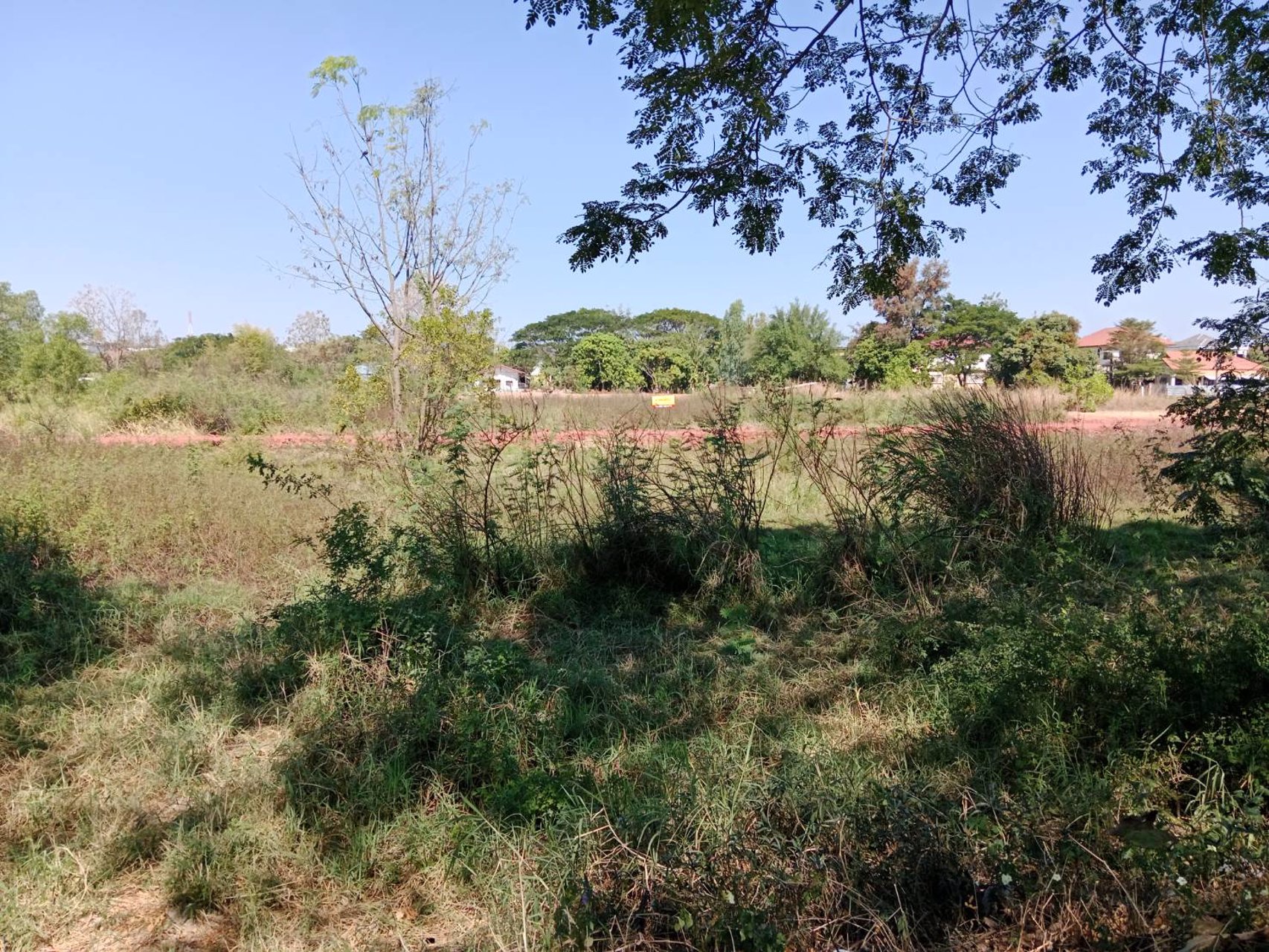 ขายที่ดิน-2-ไร่-3-งาน-89-ตารางวา-เป็นที่ดิน-2-แปลงติดกัน