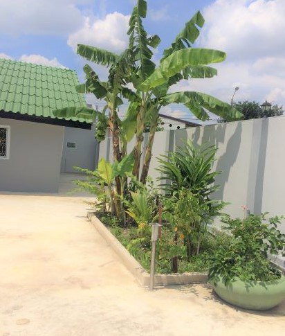 ขาย-ให้เช่า-บ้านเดี่ยว-136-วา-มพฤกษชาติ-ซอยรามคำแหง-118-รีโนเวทใหม่ทั้งหลัง-ใกล้รถไฟฟ้า