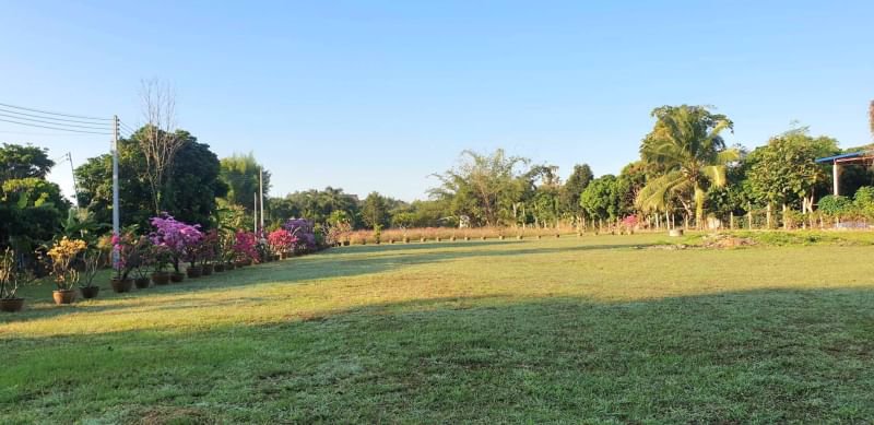 ขายโครงการเวลเนสและมูลนิธิที่จัดตั้งขึ้นแล้วเพื่อดำเนินกิจการต่อทางด้านสุขภาพและความเป็นอยู่ที่ดีแล