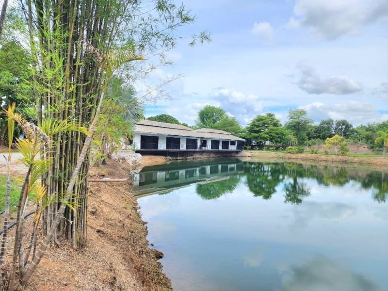 ขายโครงการเวลเนสและมูลนิธิที่จัดตั้งขึ้นแล้วเพื่อดำเนินกิจการต่อทางด้านสุขภาพและความเป็นอยู่ที่ดีแล