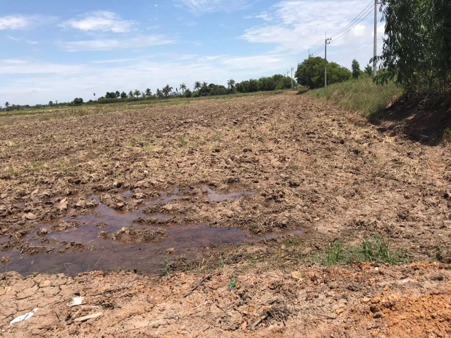 ขาย-ที่ดิน-ตำบลสระสี่เหลี่ยม-อำเภอพนัสนิคม-จังหวัดชลบุรี-85-ไร่-ติดกับ-การประปาส่วนภูมิภาคสาขาพนัสนิ