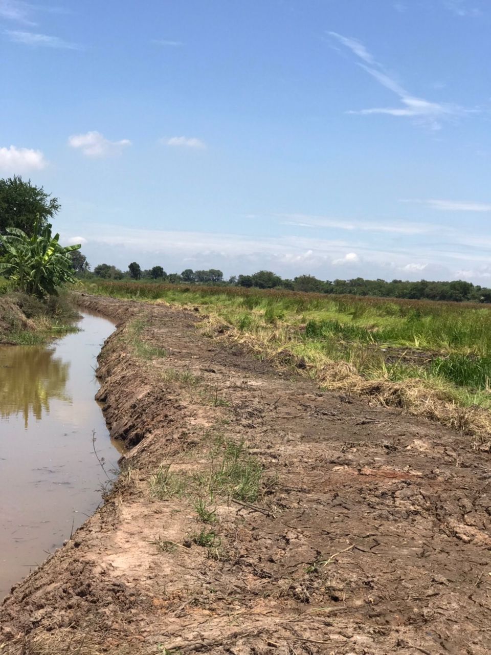 ขาย-ที่ดิน-ตำบลสระสี่เหลี่ยม-อำเภอพนัสนิคม-จังหวัดชลบุรี-85-ไร่-ติดกับ-การประปาส่วนภูมิภาคสาขาพนัสนิ