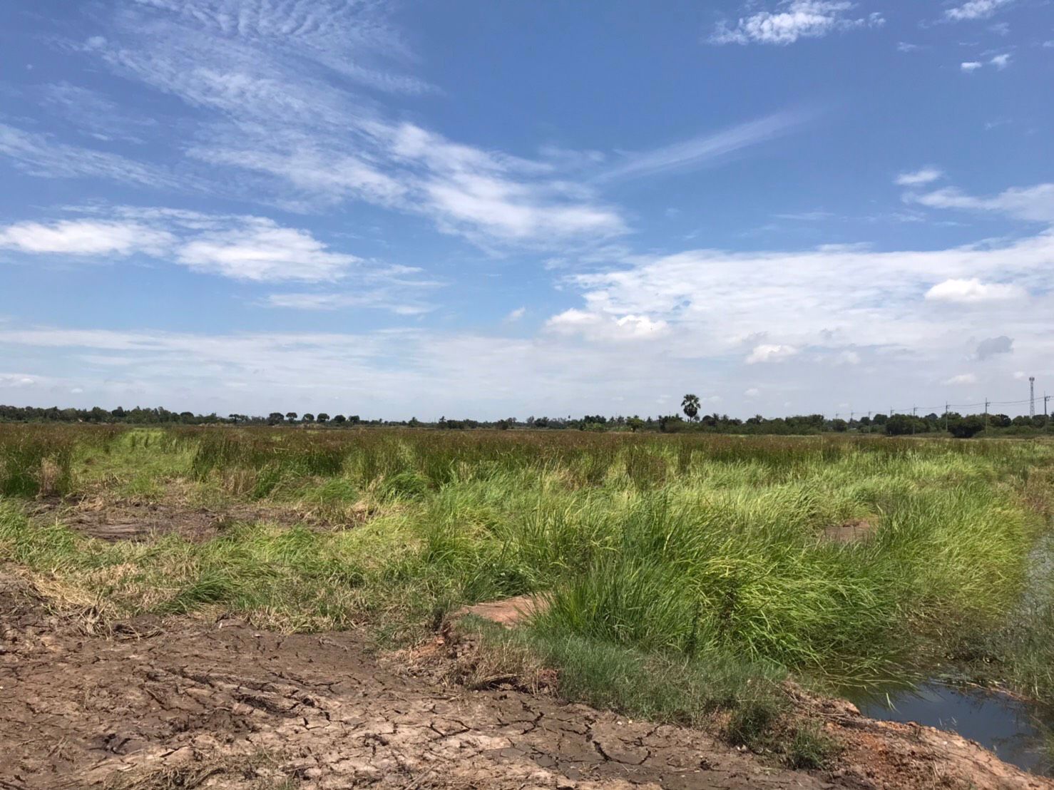 ขาย-ที่ดิน-ตำบลสระสี่เหลี่ยม-อำเภอพนัสนิคม-จังหวัดชลบุรี-85-ไร่-ติดกับ-การประปาส่วนภูมิภาคสาขาพนัสนิ