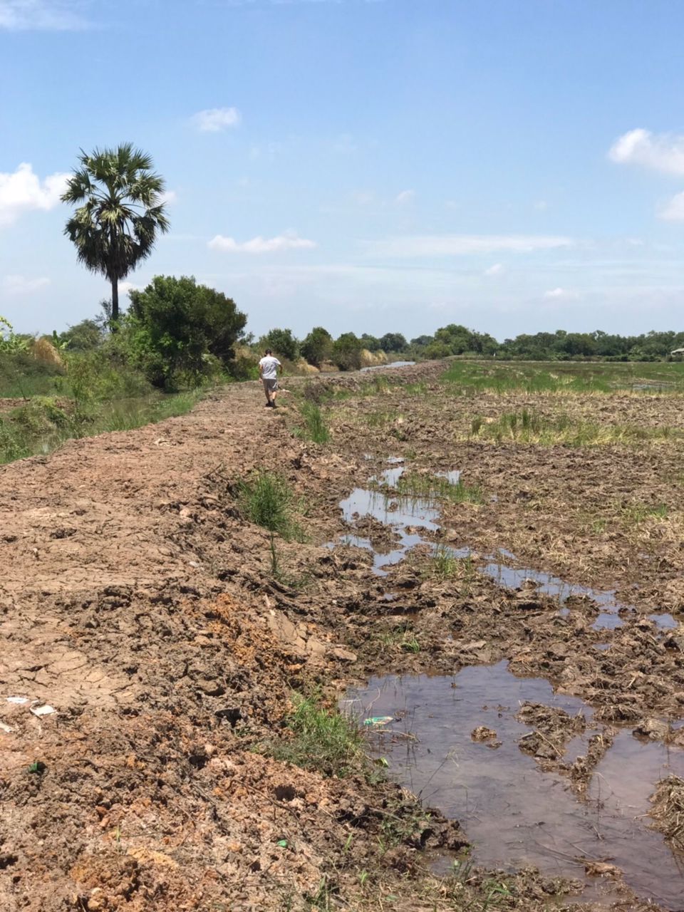 ขาย-ที่ดิน-ตำบลสระสี่เหลี่ยม-อำเภอพนัสนิคม-จังหวัดชลบุรี-85-ไร่-ติดกับ-การประปาส่วนภูมิภาคสาขาพนัสนิ