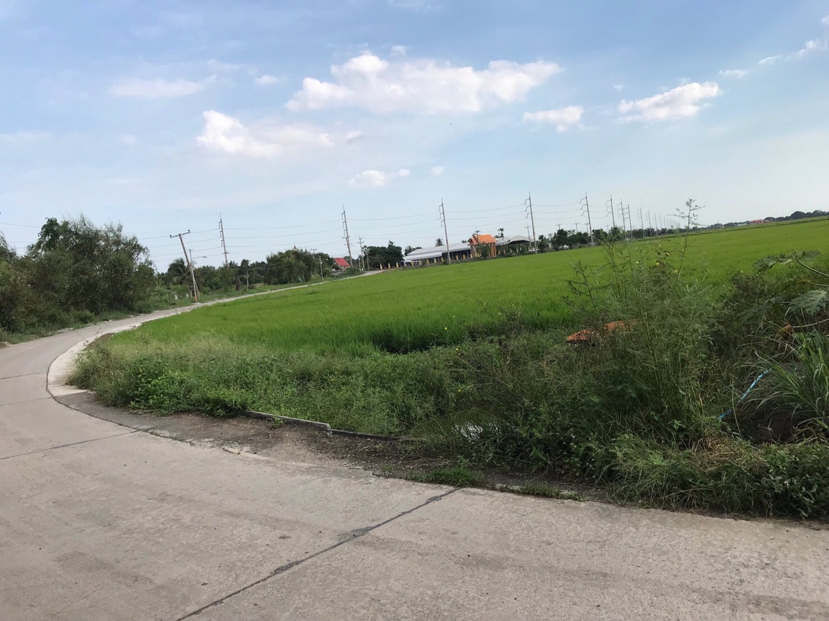 ขายที่ดิน-เกาะไร่-บ้านโพธิ์-ฉะเชิงเทรา-32-ไร่ๆ-26ล้าน-ไร่-แหล่งชุมชนวัด