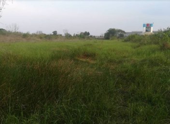 ขายที่ดิน-ปทุมธานี-คลองหนึ่ง-คลองหลวง-ติดนิคมนวนคร-ที่ดินสีม่วง-เขตอุตสาหกรรม-34-ไร่