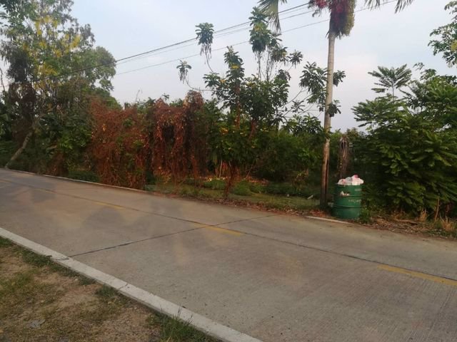 ขายที่ดิน-ปทุมธานี-คลองหนึ่ง-คลองหลวง-ติดนิคมนวนคร-ที่ดินสีม่วง-เขตอุตสาหกรรม-34-ไร่