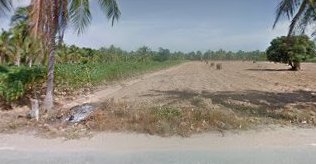 ขายที่ดิน-พัทยา-ซอย-ทุ่งกลมตาลหมัน-29-ตำบล-หนองปรือ-อำเภอ-บางละมุง-จังหวัด-ชลบุรี-15-2-88-ไร่