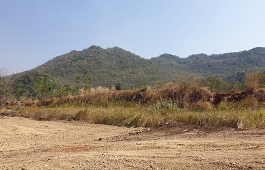 ที่สวยลพบุรีวิวเขาล้อมรอบมีโฉนดติดถนนขนาดใหญ่ลาดยางถึงที่ดิน-24-ไร่-ไร่ละ-180000-ล้อมรั้วแล้ว