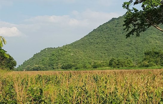 ที่สวยลพบุรีวิวเขาล้อมรอบมีโฉนดติดถนนขนาดใหญ่ลาดยางถึงที่ดิน-24-ไร่-ไร่ละ-180000-ล้อมรั้วแล้ว