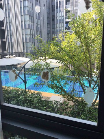 ขายคอนโด-โมนีค-สุขุมวิท-64-moniiq-condo-64-ใกล้-bts-ปุณณวิถี