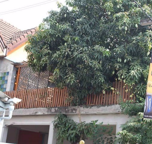 ขาย-ทาวน์เฮ้าส์-หมู่บ้านพรเทพ-ใกล้ซาฟารีเวิลด์-ห้างfashion-island-promenade