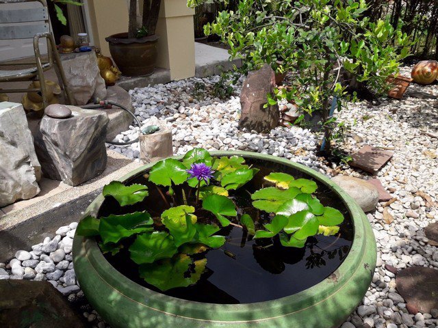 ให้เช่า-บ้านเดี่ยว-หมู่บ้านเพอร์เฟคเพลส-รามคำแหง164-ใกล้โรงเรียนนานาชาติ-ris