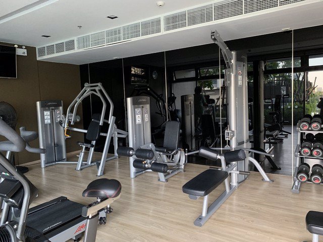 ให้เช่า-คอนโด-whizdom-connect-สุขุมวิท-ใกล้-bts-ปุณณวิถี