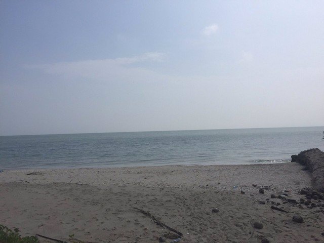 ขายที่ดิน-ติดทะเล-หาดแหลมผักเบี้ย-อบ้านแหลม-จเพชรบุรี-พื้นที่-86-ตารางวาตารางวา