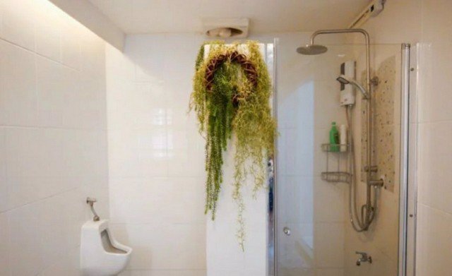 ให้เช่าบ้าน-ใกล้-bts-อนุสาวรีย์ชัย-ใกล้-คิงเพาเวอร์-ตกแต่งสไตส์หรูเหมือนโรงแรม