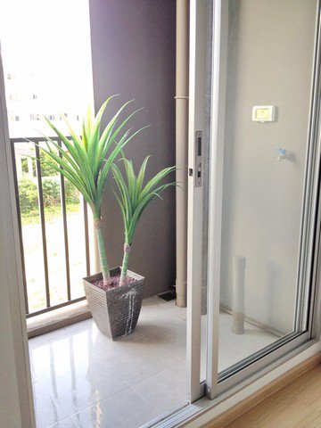 ขาย-plum-condo-สามัคคี-ใกล้-นิชาดาธานี-ใกล้-เซ็นทรัลแจ้งวัฒนะ