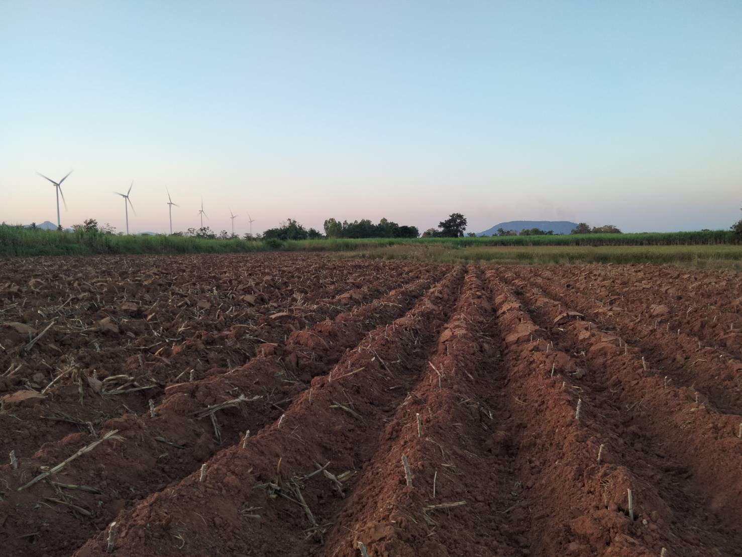 ขายที่ดิน-แบ่งขายเนื้อที่50-ตารางวา-ตหนองน้ำใส-อสีคิ้ว-จนครราชสีมา