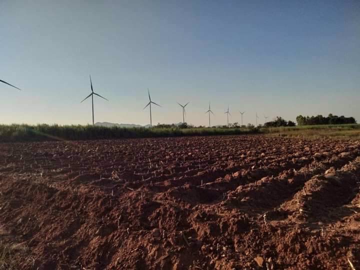 ขายที่ดิน-แบ่งขายเนื้อที่50-ตารางวา-ตหนองน้ำใส-อสีคิ้ว-จนครราชสีมา